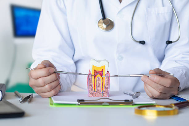 Best Emergency Tooth Extraction in Belmont, MS